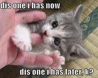 dis one i has now, dis one i has later, k?